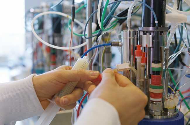 2023年全球維生素C行業(yè)市場規(guī)模78.36億美元